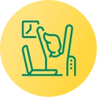 z s 18